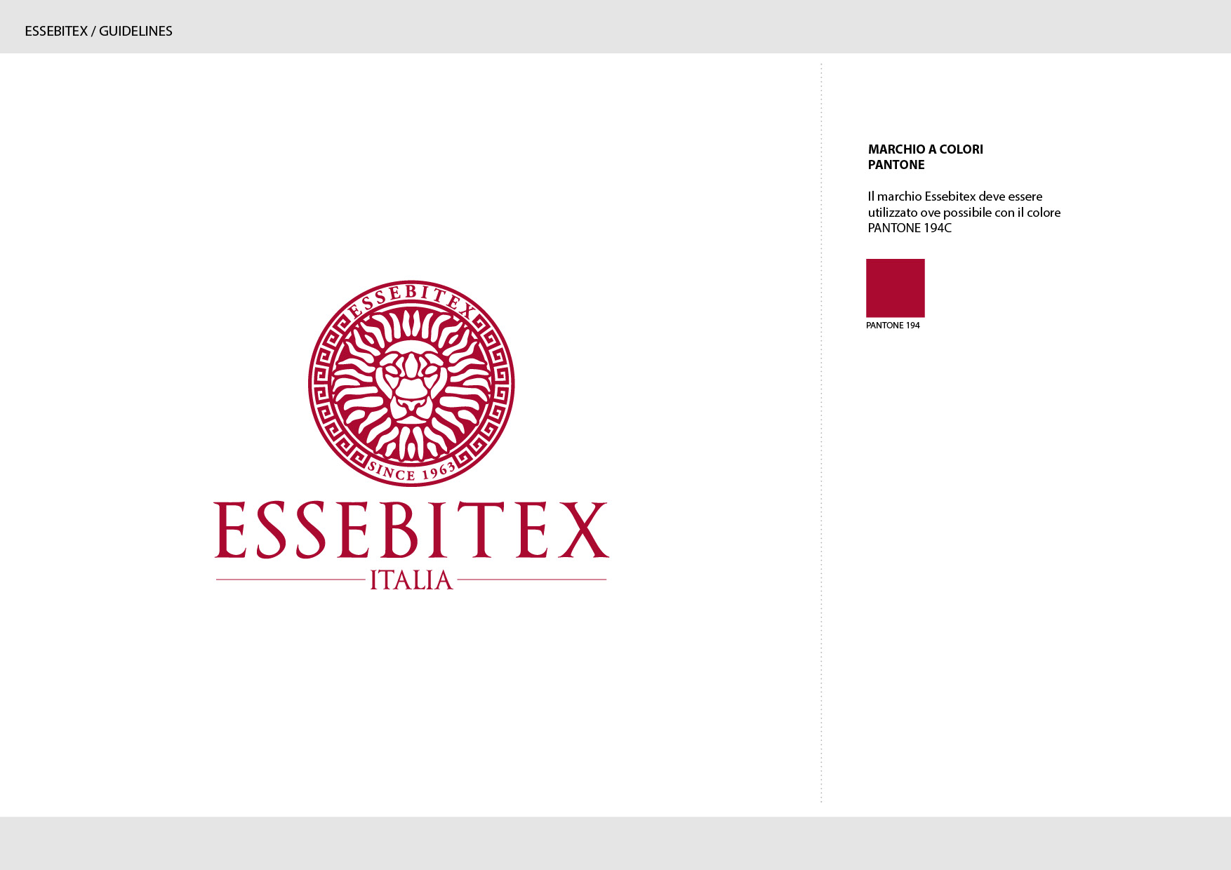 ESSEBITEX BRAND GUIDELINES2